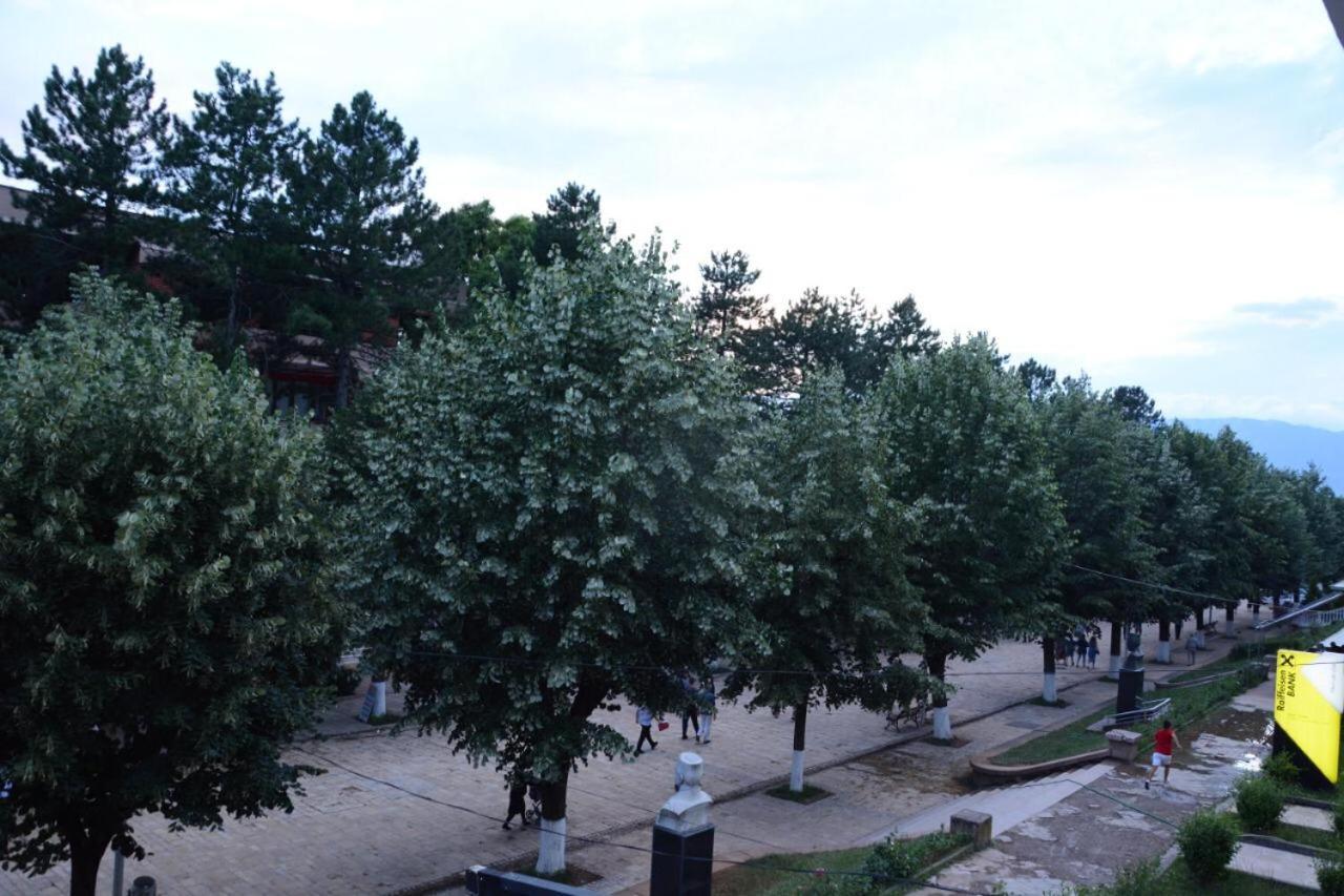 Royal Hotel Peshkopi Albania エクステリア 写真